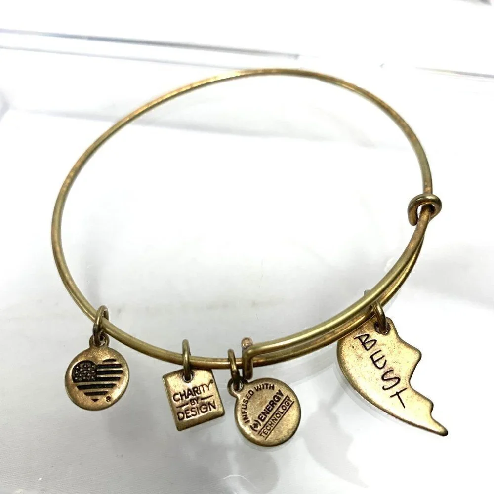 Alex and Ani Best Friend Charm Bracelet - Gold Finish Expands 2